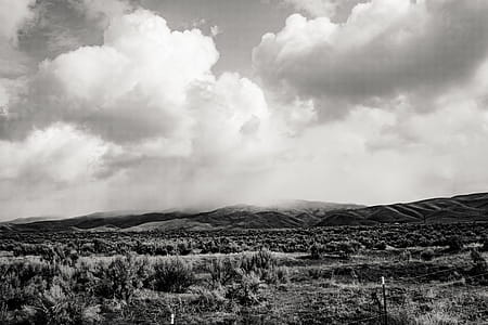 White Clouds thumbnail
