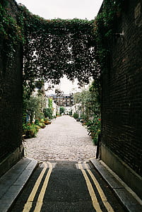 street, building, wall, architecture thumbnail