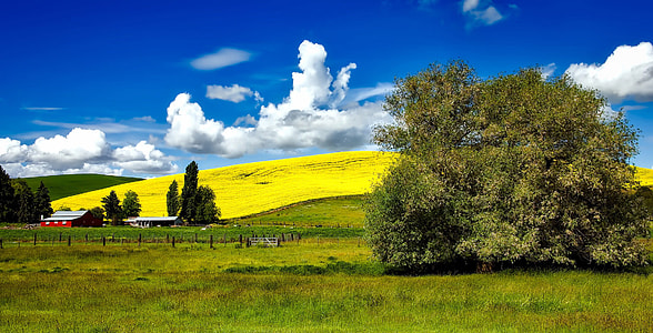 Beautiful Landscape and Clouds in Idaho thumbnail