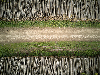 bird's eye view of pathway between log stacks thumbnail