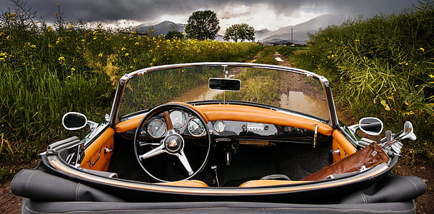 close-up photo of black convertible coupe in between of flowers field at daytime thumbnail