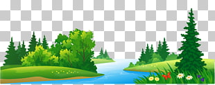 Forest , Grass Lake and Trees Transparent , river and trees cartoon illustration PNG clipart
