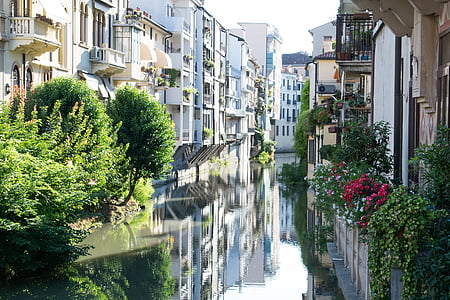 river surrounded by concrete houses during daytime thumbnail