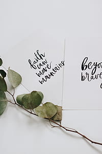 two inspirational quotes printed papers and green leaves on white surface thumbnail