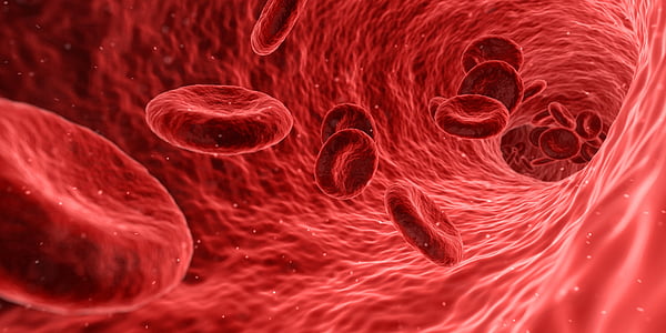 blood cells illustration thumbnail