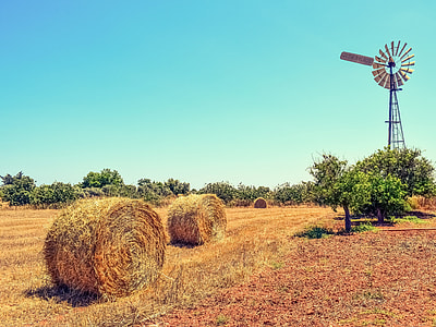 two hays near trees in front of windmills thumbnail