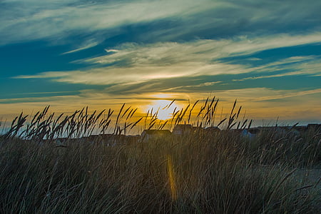 green grass field photo thumbnail