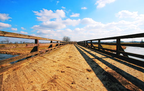 closeup photo of brown wooden dock thumbnail