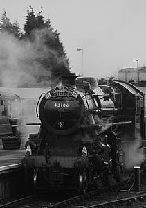 grayscale photography of The Carmarthen Express 43106 steam train at daytime thumbnail