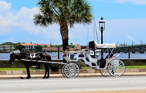 Horse And Carriage, St Augustine thumbnail