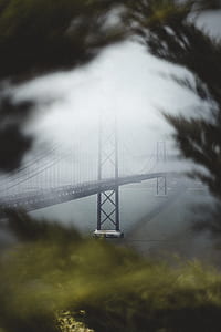 photography of bridge cover by fogs thumbnail