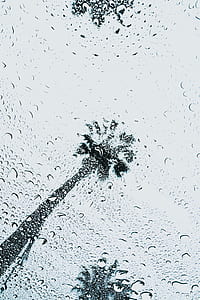 shallow focus photography of water droplets thumbnail