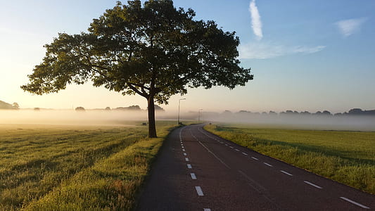 green grass field beside a road thumbnail