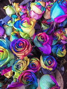 multicolor flowers thumbnail