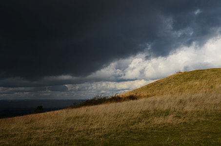 brown grass plain under gray clouds thumbnail