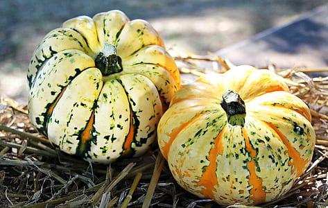two green-and-orange squashes thumbnail