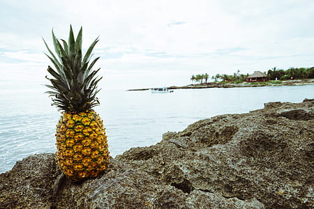 pineapple fruit in front of body of water thumbnail