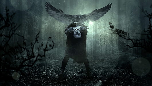 person bending its body near bird digital wallpaper thumbnail