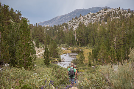 two men walking downhill towards body of water beside bushes photo thumbnail