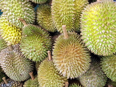 green jackfruits thumbnail