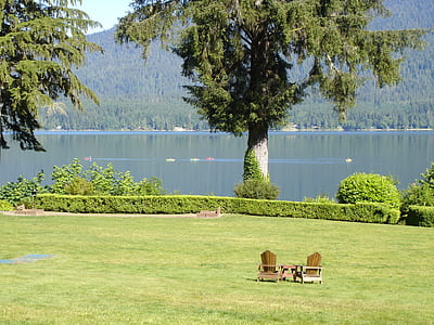 two brown wooden armchairs on green grass field thumbnail