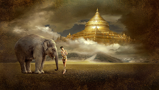 woman standing beside elephant thumbnail