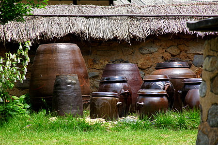 brown ceramic pot near house thumbnail