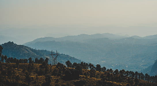 Trees on Mountain at Daytime Landscape Photography thumbnail