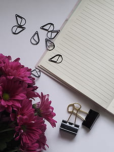 flowers, desk, notebook, paperclips thumbnail