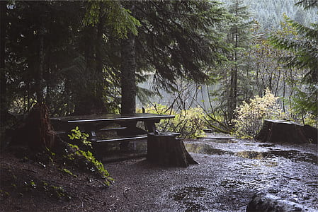 photo of brown wooden picnic table thumbnail