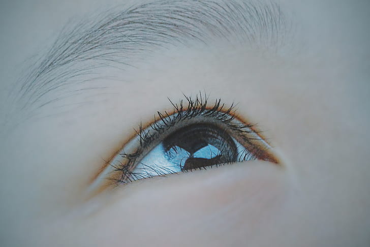 Macro Shot of Human Eye