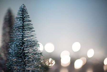 selective focus photography of Christmas tree thumbnail
