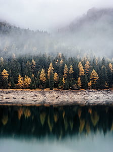 body of water surrounded by trees under foggy sky thumbnail