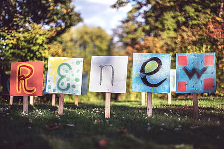 Renew Signage thumbnail