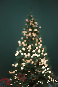 green Christmas tree thumbnail