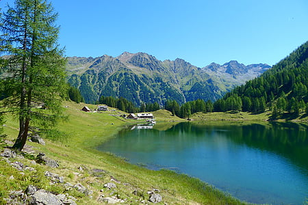calm body of water near tree during daytime thumbnail