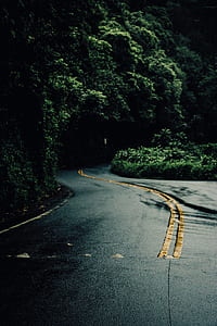 grey concrete winding road covered with green leaf plants thumbnail
