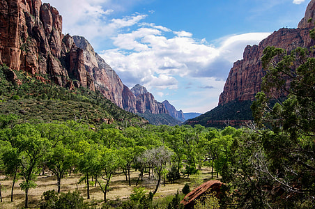 landscape photography of tall trees between brown rocky mountains thumbnail
