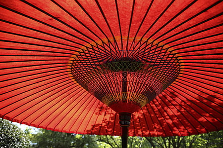 big umbrella thumbnail