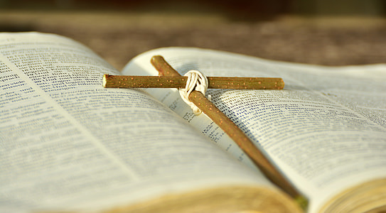 brown cross on opened book thumbnail