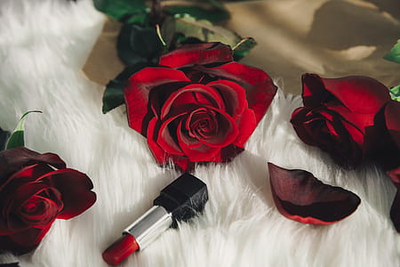 Red Roses And Lipstick Photo thumbnail