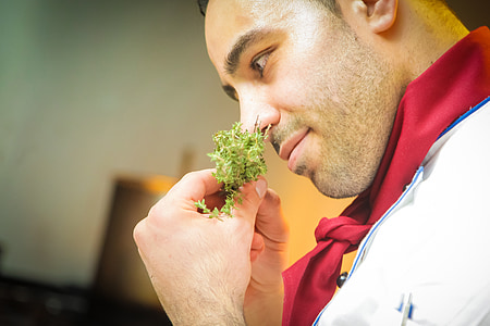 man about to smell green leaf plant thumbnail