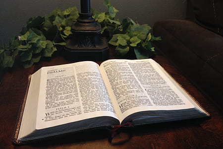 Open Bible thumbnail