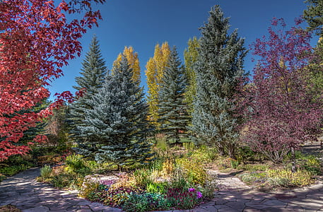 garden trees thumbnail