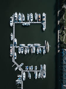 several white yachts beside dock thumbnail