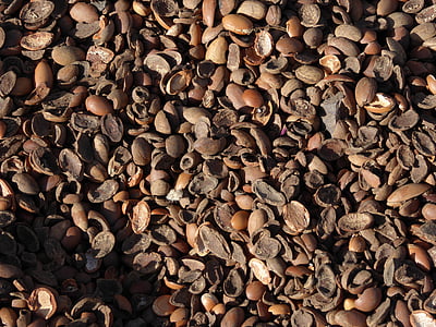 peanut lot thumbnail