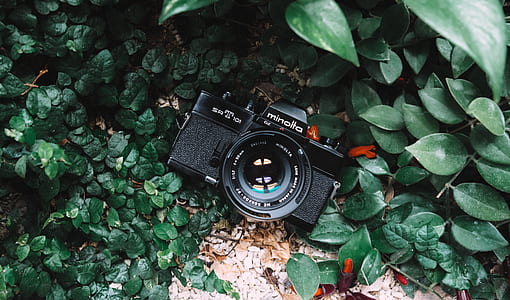 black Minolta MILC thumbnail