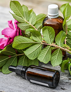 photo of brown translucent glass bottles beside green leafed plant thumbnail