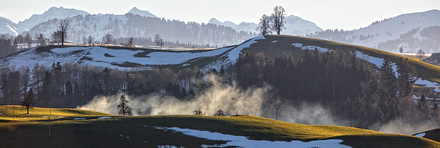 green trees covered with smoke at daytime thumbnail