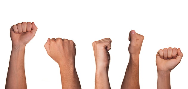 fist, rebellion, rebel, arm thumbnail